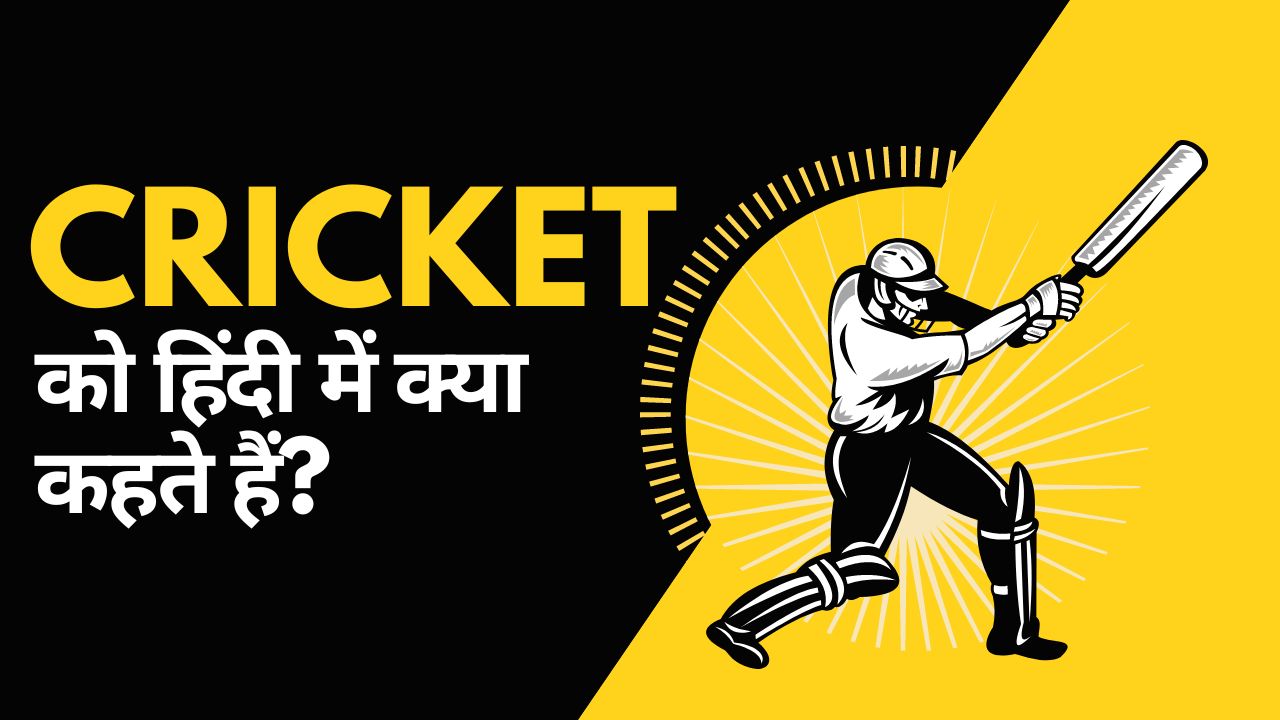 Cricket को हिंदी में क्या कहते हैं? जानें क्रिकेट और इससे जुड़े कई शब्दों की हिंदी 
