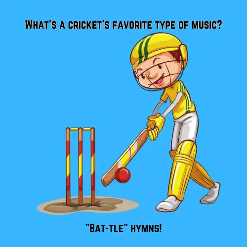 funny cricket puns