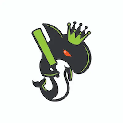 Seattle Orcas logo