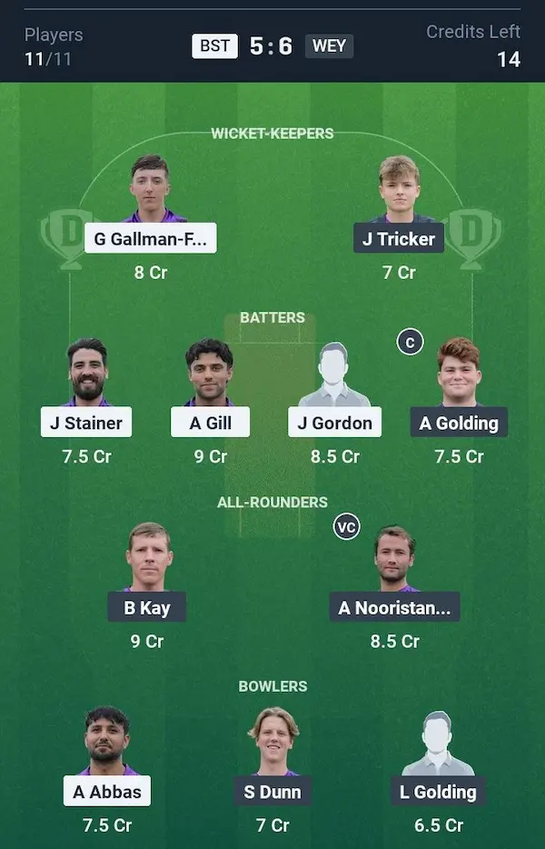 Banstead vs Weybridge Dream11 Prediction Small League Team